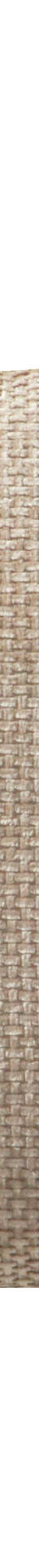 Housse de coussin unie tissage chenille - lot de 2 (sable) Housse de coussin unie tissage chenille - lot de 2 (sable)